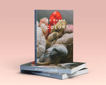 Load image into Gallery viewer, En Busca del Color