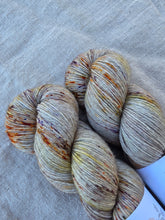 Load image into Gallery viewer, Mushroom Season - SilkYak