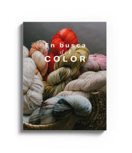 Load image into Gallery viewer, En Busca del Color