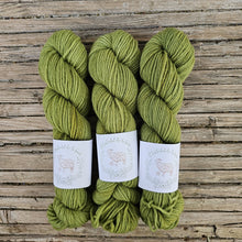 Load image into Gallery viewer, Gaston - Highland DK50
