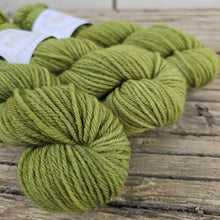 Load image into Gallery viewer, Gaston - Highland DK50
