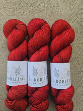 Load image into Gallery viewer, Rojo de Feria - Silky ME
