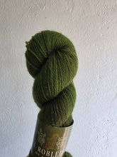 Load image into Gallery viewer, Lucky Dip - Moherino
