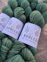 Cargar imagen en el visor de la galería, Matcha Mood - Silky BFL Lace
