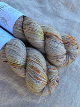 Load image into Gallery viewer, Mushroom Season - SilkYak

