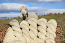 Load image into Gallery viewer, Moherino
